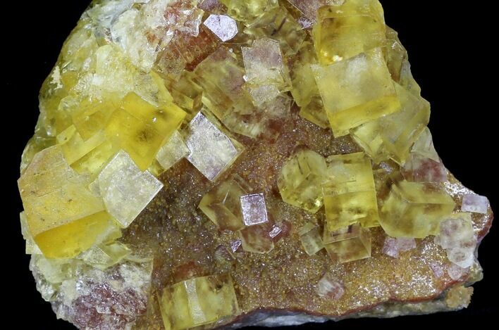 Lustrous, Yellow Cubic Fluorite Crystals - Morocco #32304